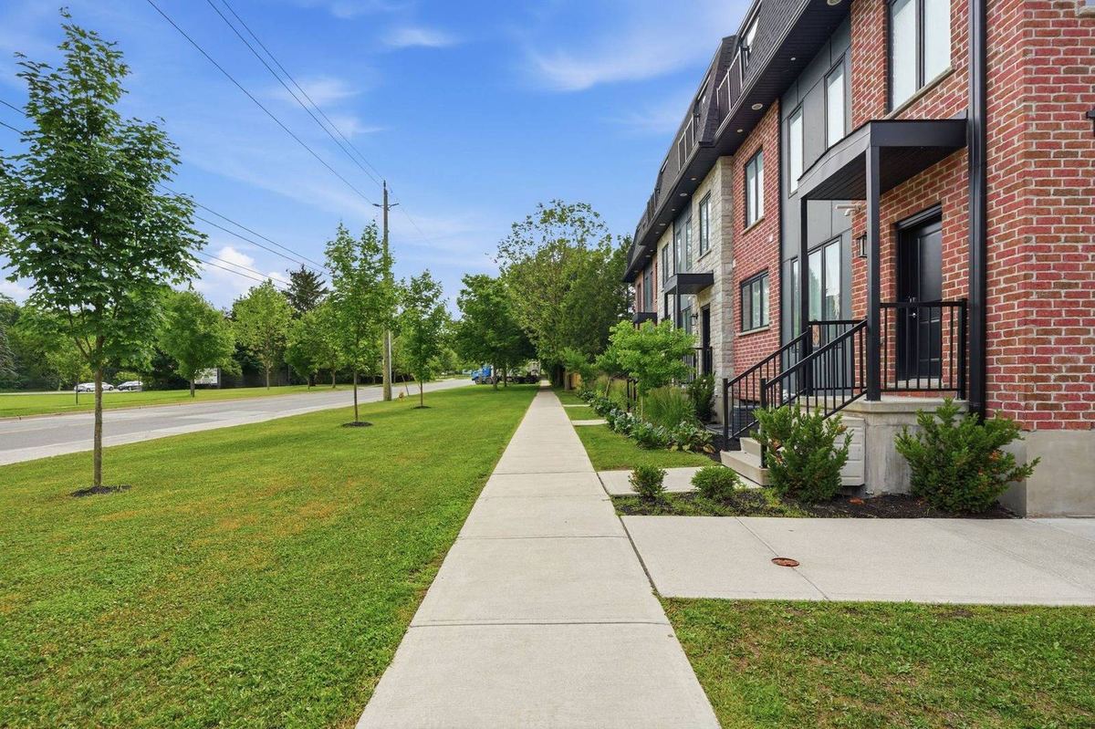 Tree-lined sidewalk along Windermere Road
